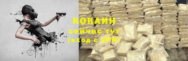 не бодяженный Арсеньев