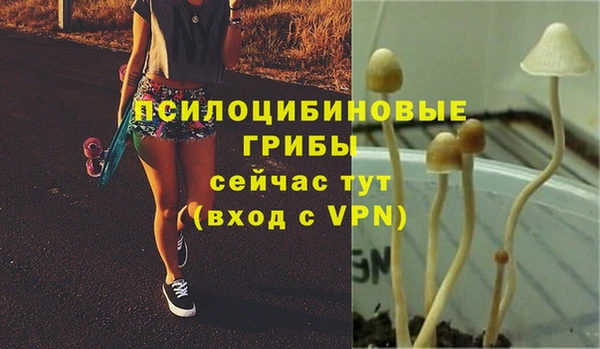 не бодяженный Арсеньев