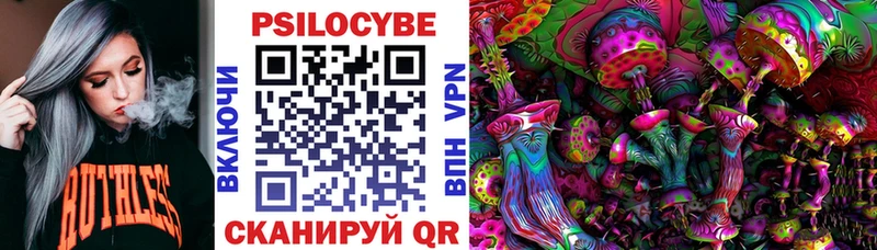 Купить где  Армавир  Псилоцибиновые грибы мицелий 